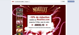 Fan Page facebook