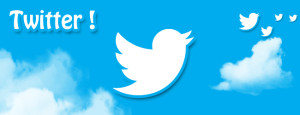 maitriser twitter