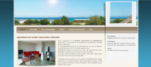 Site Internet Vitrine